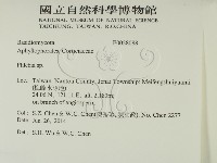 射脈菌屬藏品圖，第2張