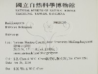 登錄號:F0028090藏品圖，第2張