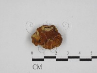 登錄號:F0028090藏品圖，第1張