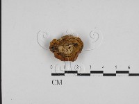 登錄號:F0028090藏品圖，第3張