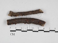 登錄號:F0028092藏品圖，第1張