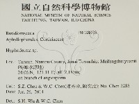 絲皮菌屬藏品圖，第2張