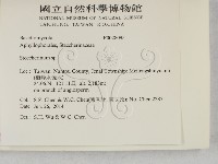 齒耳菌屬藏品圖，第2張