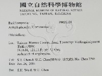 登錄號:F0028101藏品圖，第2張