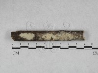 登錄號:F0028105藏品圖，第1張