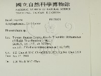 登錄號:F0028106藏品圖，第2張