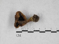 登錄號:F0028108藏品圖，第3張