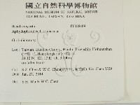 登錄號:F0028109藏品圖，第2張