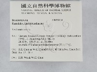 登錄號:F0028110藏品圖，第2張