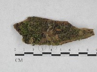 登錄號:F0028112藏品圖，第1張