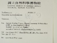 登錄號:F0028113藏品圖，第2張
