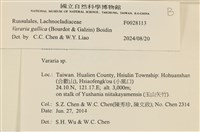 登錄號:F0028113藏品圖，第3張