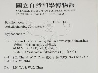 登錄號:F0028114藏品圖，第2張