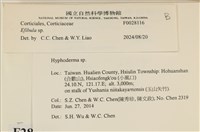 登錄號:F0028116藏品圖，第3張