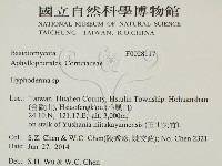 登錄號:F0028117藏品圖，第2張