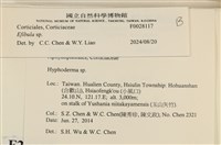 登錄號:F0028117藏品圖，第3張