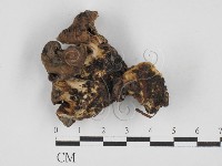 登錄號:F0028118藏品圖，第1張