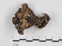 登錄號:F0028118藏品圖，第3張