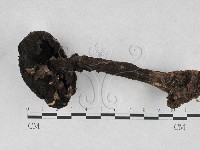 登錄號:F0028121藏品圖，第3張
