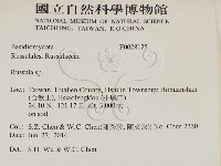紅菇屬藏品圖，第2張