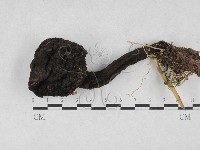 登錄號:F0028126藏品圖，第3張