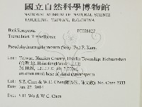 登錄號:F0028127藏品圖，第2張
