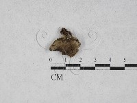 登錄號:F0028127藏品圖，第3張