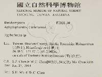 登錄號:F0028130藏品圖，第2張