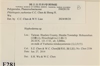 登錄號:F0028130藏品圖，第3張