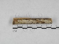 登錄號:F0028132藏品圖，第1張