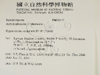 剛毛絲皮菌藏品圖，第2張
