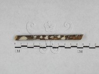 登錄號:F0028135藏品圖，第1張