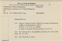 登錄號:F0028135藏品圖，第4張