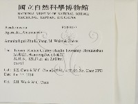 登錄號:F0028137藏品圖，第2張