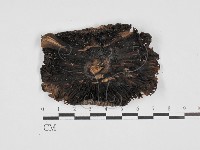 登錄號:F0028137藏品圖，第3張