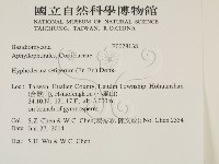 剛毛絲皮菌藏品圖，第2張