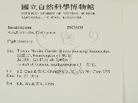 登錄號:F0028139藏品圖，第2張