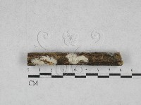 登錄號:F0028139藏品圖，第1張