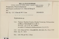 登錄號:F0028139藏品圖，第3張