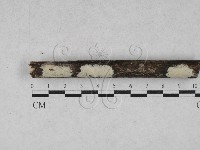 登錄號:F0028140藏品圖，第1張