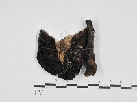 登錄號:F0028141藏品圖，第3張