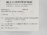 集毛菌屬藏品圖，第2張