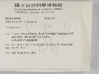 粗糙孢菌屬藏品圖，第2張