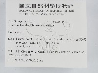 集毛菌屬藏品圖，第2張