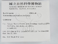 集毛菌屬藏品圖，第2張