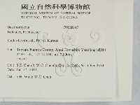 登錄號:F0028147藏品圖，第2張