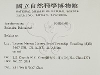 登錄號:F0028148藏品圖，第2張