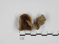 登錄號:F0028148藏品圖，第3張