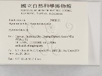 刺革菌屬藏品圖，第2張