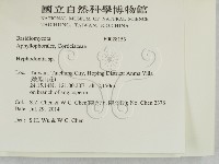 絲齒菌屬藏品圖，第2張